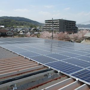 太陽光勧修寺